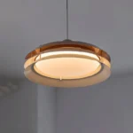 Modern üslubda təkli asma işıq MD8101 - Image 3