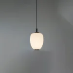 Modern üslubda təkli asma işıq MD7309-B