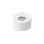 LED ağ spot JX-12